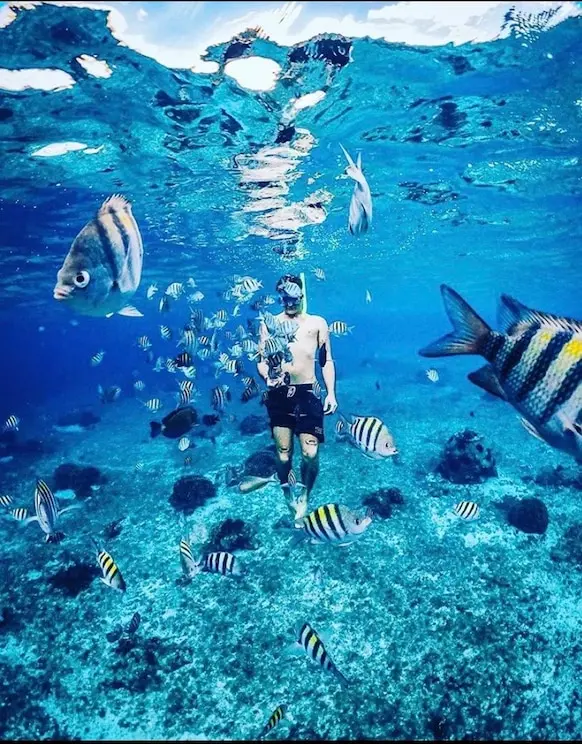 Snorkeling in Bali