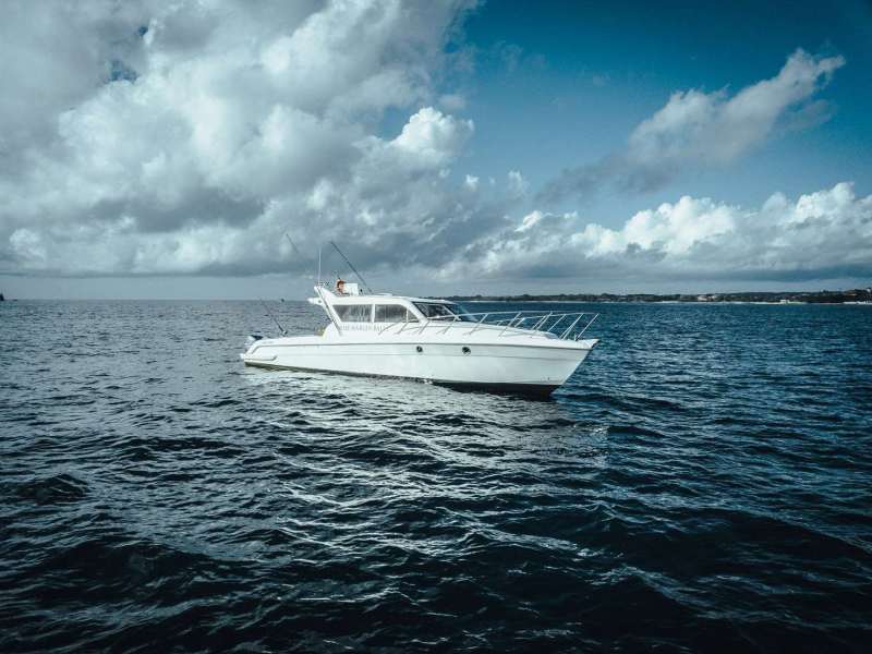 Blue Marlin 49 Motor Yacht