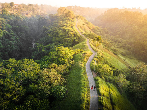 Campuhan Ridge Sunset Walk 