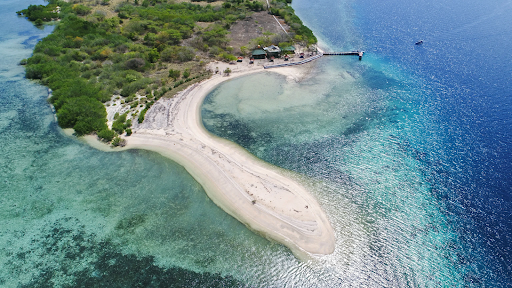 Menjangan Island 